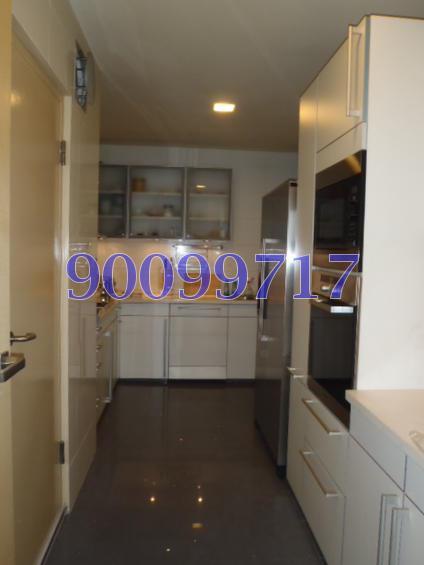 Cairnhill Crest (D9), Condominium #113135262